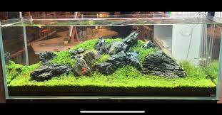 The art embraces the theory of purity and adapts the relevance of spirituality. Ada Nature Aquarium Philippines Iwagumi Aquascape With Ryuoh Stones In This Ada 120p Cube Garden Powered By Ada Solar Rgb Led Lights Looking Good In Less Than 4 Weeks Facebook