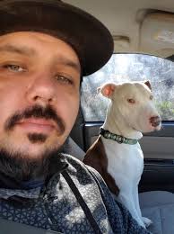 Found friendly male dog in Owensville