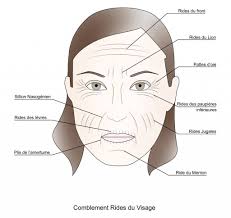 Ces travaux sont basés sur l'anthropologie mais aussi la génétique, et un logiciel ou une application en ligne ne saurait analyser le visage de vos ancêtres. Les Rides De Votre Visage Pourraient Reveler Des Secrets Sur Vous