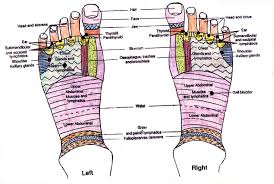 At speedy template, you can download foot reflexology chart. Page Fourth I M Sleepy Reflexology Top Of Foot Mitwein Com