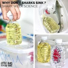 how do sharks float? little bins for