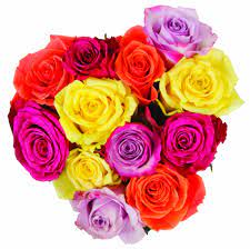 When i placed my order, it was on the lower end of the spectrum at $9.95. Bloom Haus Rainbow Assorted Roses 12 Stems Kroger