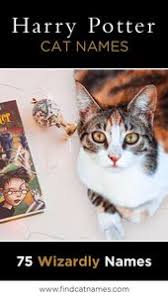 77 Harry Potter Cat Names Great Name Ideas Find Cat Names Harry Potter Cat Names Harry Potter Cat Harry Potter Pet Names