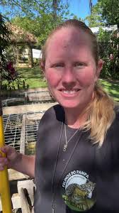 Cleaning Frank the Tank our big alligator snapping turtle!  #alligatorsnappingturtle #frankthetank #amazinganimalsinc #turtle  #cleanpool #fyp