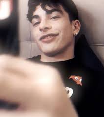 Matteo Robert Venice Red Carpet