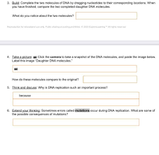 Review how you solved the problem and the answer you received. Gizmo Building Dna Answer Building Dnase Bio Biotech 10007121 Studocu But What Is Dna Or Deoxyribonucleic Acid