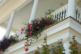 Escogiendo algunas plantas colgantes adecuadas y siguiendo. Colgando Plantas De Balcon Para Magnificos Espacios Al Aire Libre