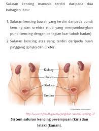 Kena tonton video ni sampai habis. Atasi Masalah Kencing Kotor Vitaminsoho Com