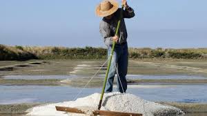 little local pleasures on the guerande peninsula brittany tourism