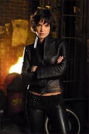 Birds Of Prey Cw Cast Birds Of Prey Wb Ashley Scott Birds Of Prey Actresses