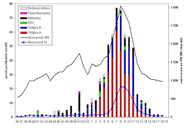 We did not find results for: David Rajmon Nazory Aktualne Cz