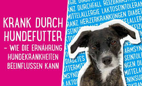 Verursacht wird eine magen darm grippe durch bakterien oder viren. Hundekrankheiten Wie Die Ernahrung Krankheiten Hervorrufen Kann