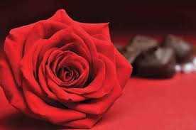 New Chinese Professional Massage In Basingstoke Town Centre Hampshire Sumra