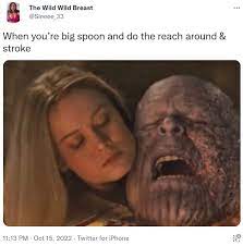When you're big spoon and do the reach around & stroke | Thanos | Know Your  Meme