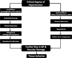 Either condition can eventually lead to seizures, pulmonary edema, aortic dissection. Hypertensive Emergencies Cardiology Clinics