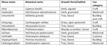 Image result for Heywoodia