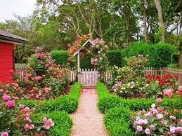 Country Rose Garden Rose Garden Design Cottage Garden Roses Cottage Garden Borders