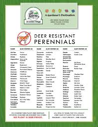 It is truly stunning when in bloom. List Of Deer Resistant Annuals Perennials The Farm At Green Village