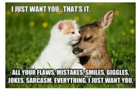 Pin By Amanda Dittman On Quotes And Memes In 2020 Love Memes For Him Romantic Memes Sweet Memes