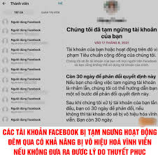 Và vì đây là follow từ người thật, hoạt động trên facebook, đồng thời hỗ trợ bảo hành follow đi kèm nên bảng giá tăng theo dõi sau đây là hoàn toàn. Awbeuz7z3wulym