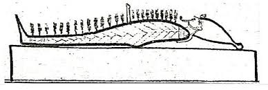جملة كلية اآلثار بقيا )دورية أكاد ميية علنية حمكنة(
