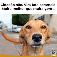 pin em conheca nossa loja