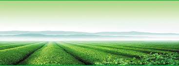 hd fresh garden background garden pictures background garden