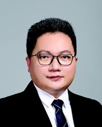 Recent progress in creating complex and multiplexed surface-grafted  macromolecular architectures