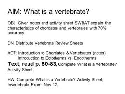 Work sheet on introduction to inverta brate : Vertebrates Vs Invertebrates Background Invertebrates Do Not Have A Backbone 95 Of Animal Species And Divided Into 9 Different Phyla Vertebrates Ppt Download