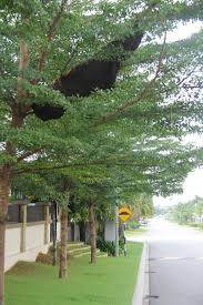 Lelaki dipercayai gantung diri, alami kemurungan selepas perniagaan terjejas Kenapa Saya Kerap Sakit Sekarang Masam Manis