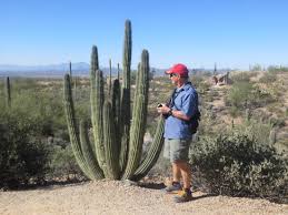 The sights and sounds of organ pipe cactus national monument, an international biosphere reserve, reveal a thriving community of plants and animals. Organ Pipe Cactus Bild Von Organ Pipe Cactus National Monument Ajo Tripadvisor