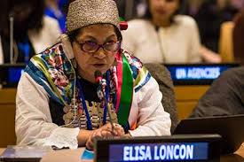 En primer lugar es un texto bilingüe en mapuzugun y castellano y quechua y castellano; Chile Las Naciones Originarias Contribuiran A La Refundacion De Chile Entrevista Elisa Loncon Sin Permiso