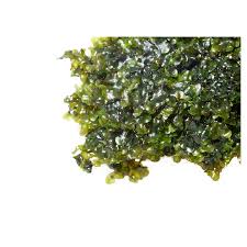 Image result for Loxogramme