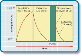 Classical Conditioning Introduction To Psychology