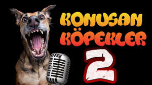 Konusan Kopekler 2 En Komik Kopek Videolari Youtube