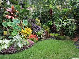 In a tropical landscape, the plants appear to jostle for space. Garden Design Ideas Brisbane
