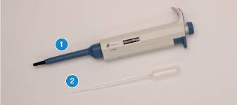 3) 25 ml, 10 ml, 5 ml, and 2 ml transfer. Biotechnology 101 Guide Introduction To Pipetting Bento Lab