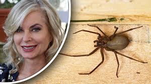 Image result for Tarantula Bite
