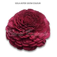 Wholesale prices on sola wood flowers as well as discounted greenery and craft supplies. Sola Wood Flowers I Sola Flowers I Manufacturer I Wholesaler I Exporters