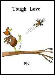 Quotes About Parenting Tough Love 22 Quotes