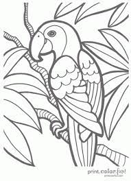 The australian pelican has the longest bill of any bird in the world. Fish And Birds Colouring Pages Jungle Coloring Pages Bird Coloring Pages Animal Coloring Pages