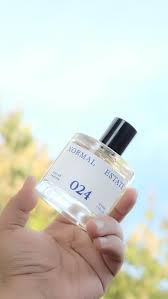 024 Normal Estate perfume - a new fragrance for women and men 2022