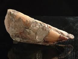 Evaporita De Halita Silvinita Y Carnalita Montana De Sal Cardona Barcelona Catalunya Espana 15 X 6 X 5 Cm Edad Eoceno Superior Ejemplo De Em 2020 Cristais Pedras