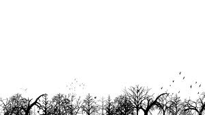 We did not find results for: Black And White Colour Wallpapers Au Mf Desktop Background