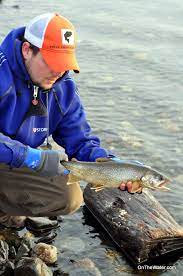 The place is huge and success is far from guaranteed, but do. Well Fed Lake Trout Wachusett Reservoir Fishing Report