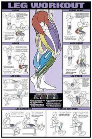 Leg Workout Wall Chart Professional Fitness Training Gym