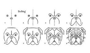 Vintage Kids Printable Draw A Bulldog The Graphics Fairy Bulldog Drawing Bulldog Art Drawings
