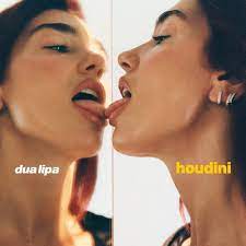 DUA LIPA on X: "HOUDINI ⛓️ NOV 9TH 11PM GMT PRE ORDER https://t ...