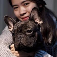 Rosie Tran (@RosieTran20)