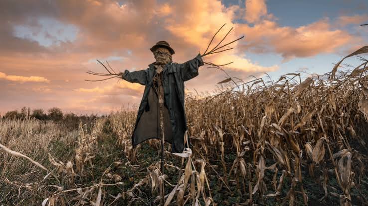 How scarecrows went from ancient magic to fall horror fodder | Popular  Science